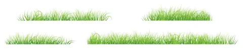 Grass Stock Illustration