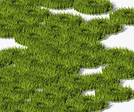 Grass Stock Illustration