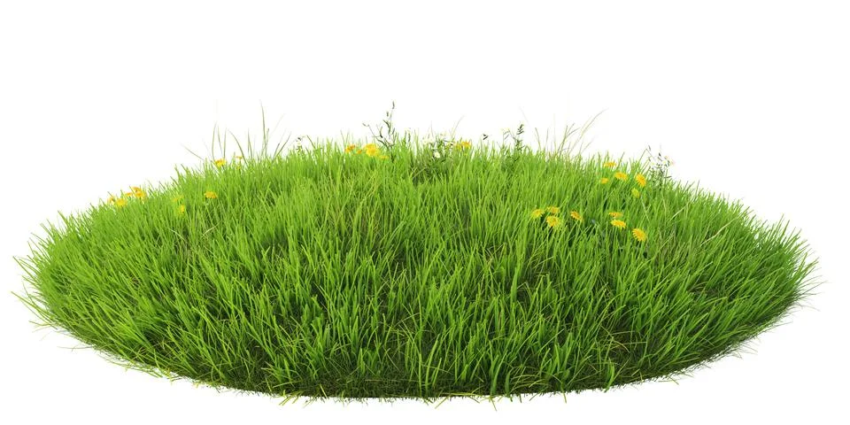 Grass Stock-Illustration