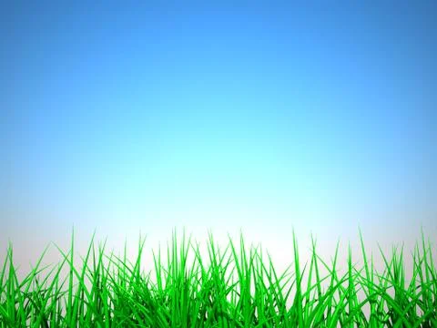 Grass Stock Illustration