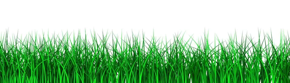 Grass Stock Illustration