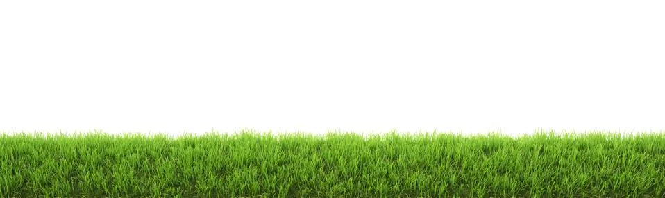 Grass Illustrazione stock
