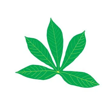 Grass Stock Illustration