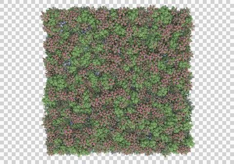 Grass Stock Illustration