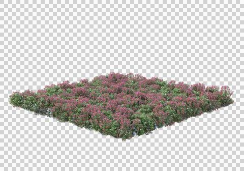 Grass Stock Illustration