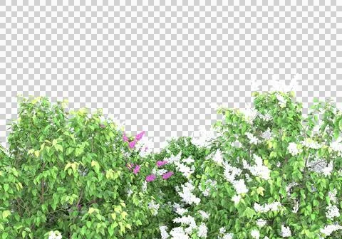 Grass Stock Illustration