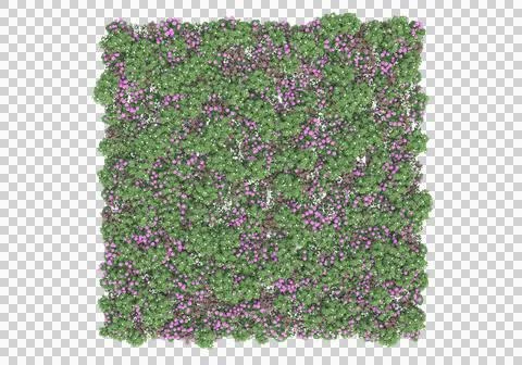 Grass Stock Illustration