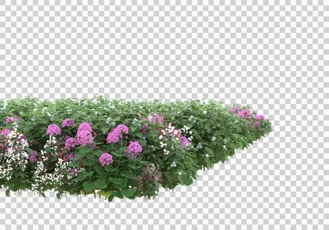 Grass Stock Illustration