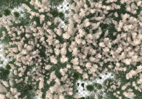 Grass Stock Illustration