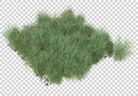 Grass Stock Illustration