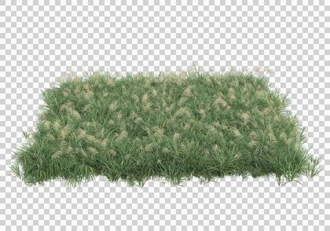 Grass Stock Illustration