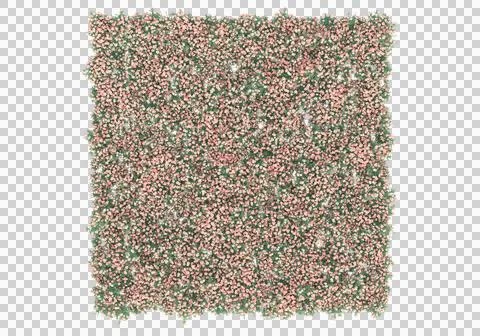 Grass Stock Illustration