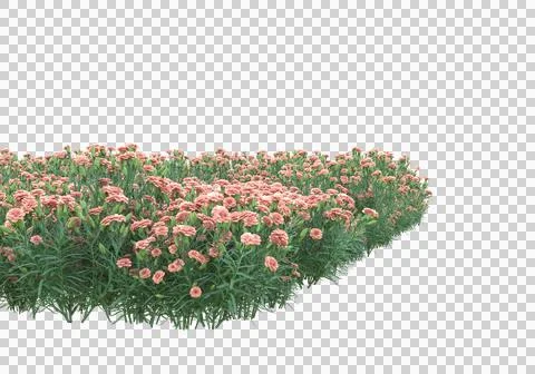 Grass Stock Illustration