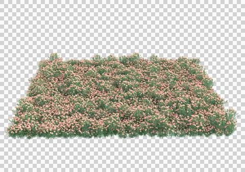Grass Stock Illustration