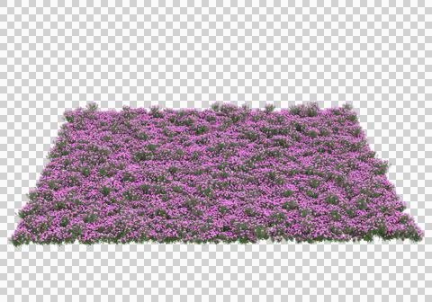 Grass Ilustración de archivo