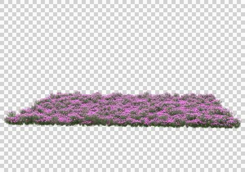 Grass Stock Illustration