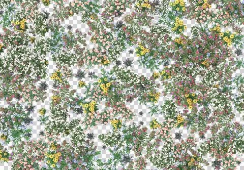 Grass Stock Illustration