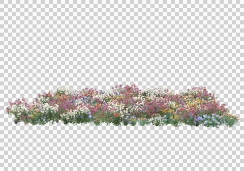 Grass Ilustración de archivo