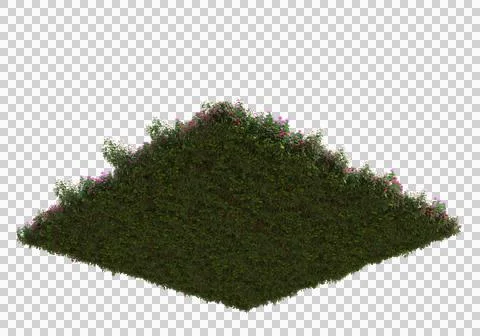 Grass Ilustración de archivo