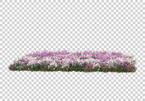 Grass Ilustración de archivo