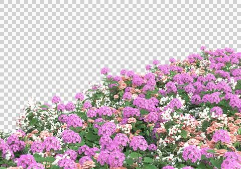 Grass Ilustración de archivo