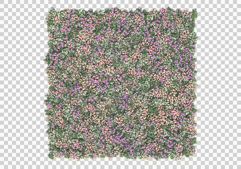 Grass Ilustración de archivo