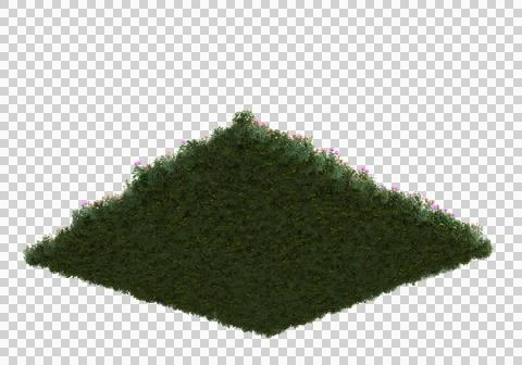 Grass Ilustración de archivo