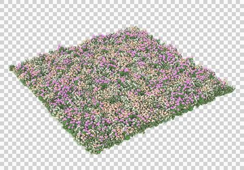 Grass Ilustración de archivo