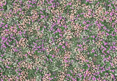 Grass Stock Illustration