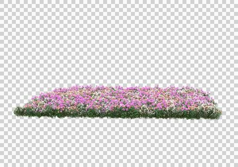 Grass Ilustración de archivo