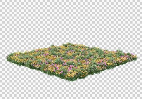 Grass Ilustración de archivo