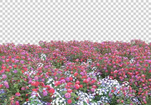 Grass Stock Illustration