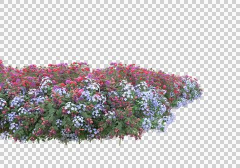 Grass Stock Illustration