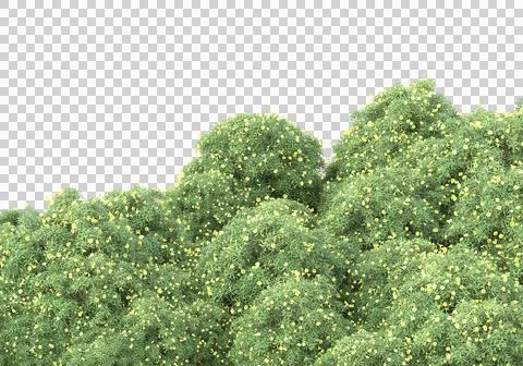 Grass Ilustración de archivo