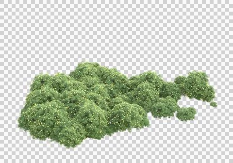 Grass Ilustración de archivo