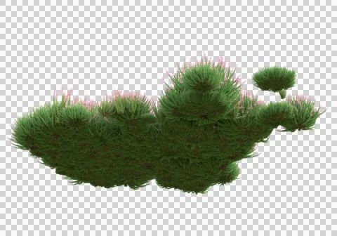 Grass Ilustración de archivo