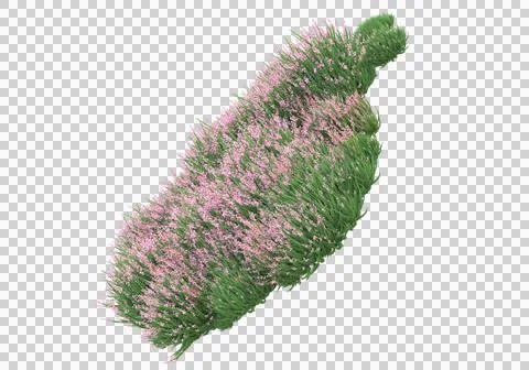 Grass Stock Illustration