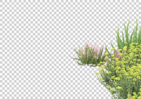 Grass Stock Illustration
