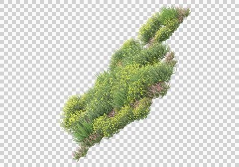 Grass Stock Illustration