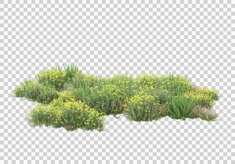 Grass Ilustración de archivo