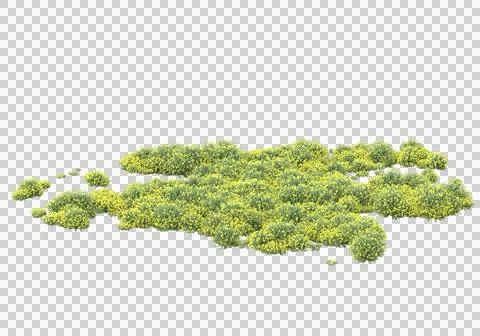 Grass Ilustración de archivo