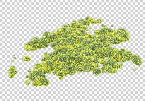 Grass Ilustración de archivo
