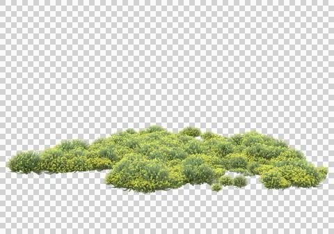 Grass Stock Illustration