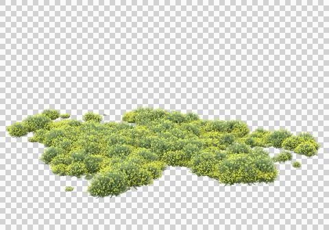 Grass Stock Illustration