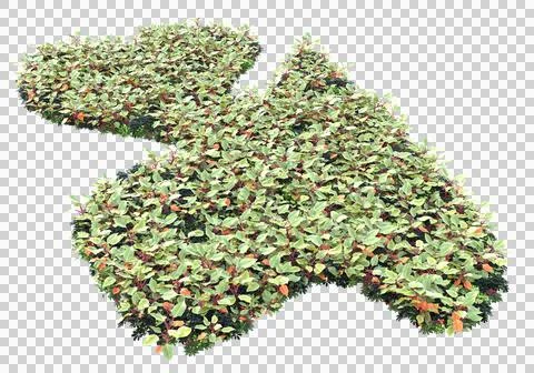 Grass Ilustración de archivo