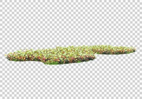 Grass Ilustración de archivo