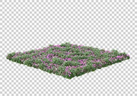 Grass Stock Illustration