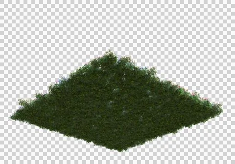 Grass Stock Illustration