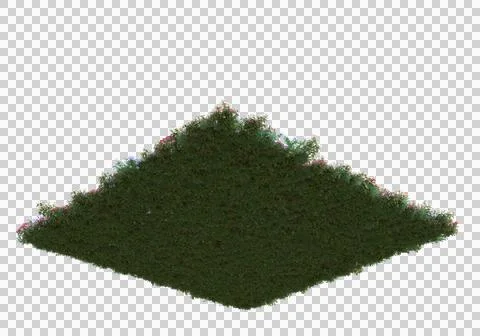 Grass Stock Illustration