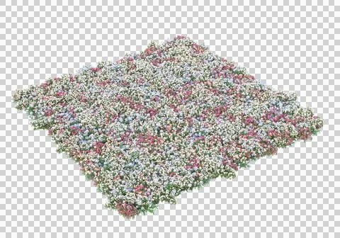 Grass Stock Illustration